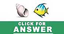 Guess the Emoji answers and cheats level 2