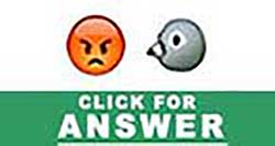Guess the Emoji answers and cheats level 2