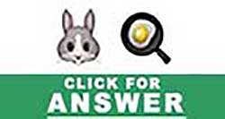 Guess the Emoji answers and cheats level 4