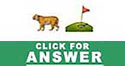Guess the Emoji answers and cheats level 8