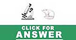 Guess the Emoji answers and cheats level 10
