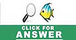 Guess the Emoji answers and cheats level 12