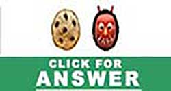 Guess the Emoji answers and cheats level 13