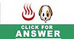 Guess the Emoji answers and cheats level 14