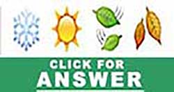 Guess the Emoji answers and cheats level 15