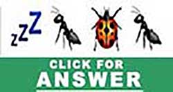Guess the Emoji answers and cheats level 16