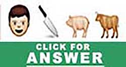 Guess the Emoji answers and cheats level 17