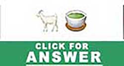 Guess the Emoji answers and cheats level 18
