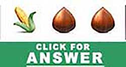 Guess the Emoji answers and cheats level 20