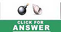 Guess the Emoji answers and cheats level 21