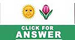 Guess the Emoji answers and cheats level 22