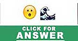 Guess the Emoji answers and cheats level 23