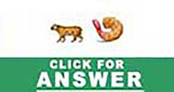 Guess the Emoji answers and cheats level 28