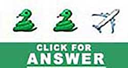 Guess the Emoji answers and cheats level 28