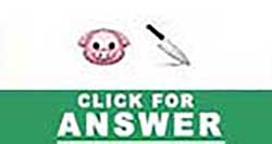 Guess the Emoji answers and cheats level 29
