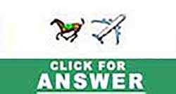 Guess the Emoji answers and cheats level 29