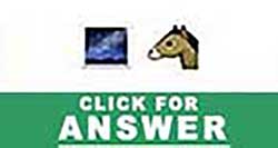 Guess the Emoji answers and cheats level 30