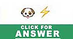 Guess the Emoji answers and cheats level 30