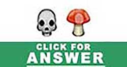 Guess the Emoji answers and cheats level 31
