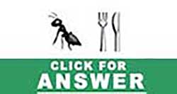 Guess the Emoji answers and cheats level 31