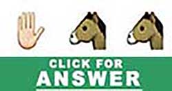 Guess the Emoji answers and cheats level 33