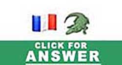 Guess the Emoji answers and cheats level 35