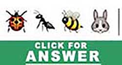 Guess the Emoji answers and cheats level 39