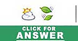 Guess the Emoji answers and cheats level 39