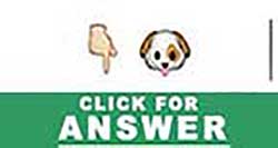 Guess the Emoji answers and cheats level 40
