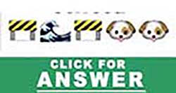 Guess the Emoji answers and cheats level 42