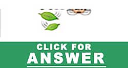 Guess the Emoji answers and cheats level 45