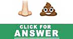 Guess the Emoji answers and cheats level 46
