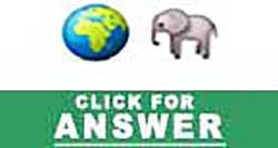 Guess the Emoji answers and cheats level 48