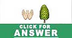 Guess the Emoji answers and cheats level 76