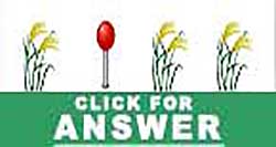 Guess the Emoji answers and cheats level 77