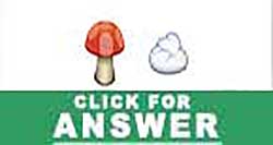 Guess the Emoji answers and cheats level 79