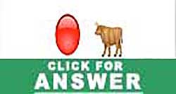Guess the Emoji answers and cheats level 79
