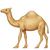 emoji meaning 248