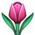 emoji meaning 255